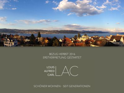 screenwork-kundenprojekte-take-outs-lac-waedenswil-bauprojekt